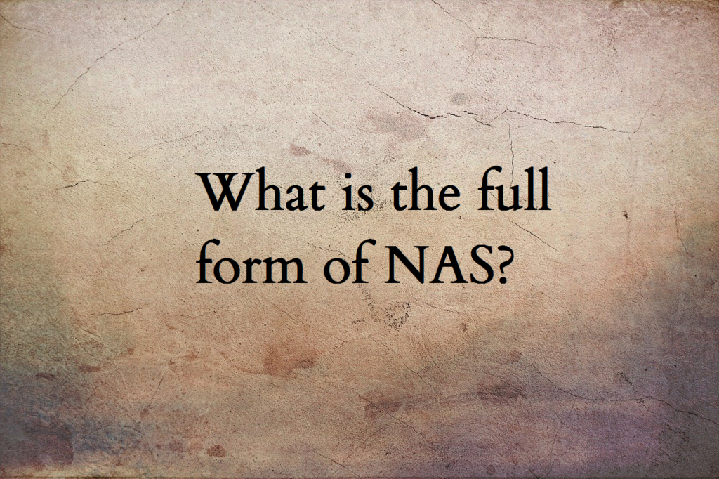 Nas Full Form Education